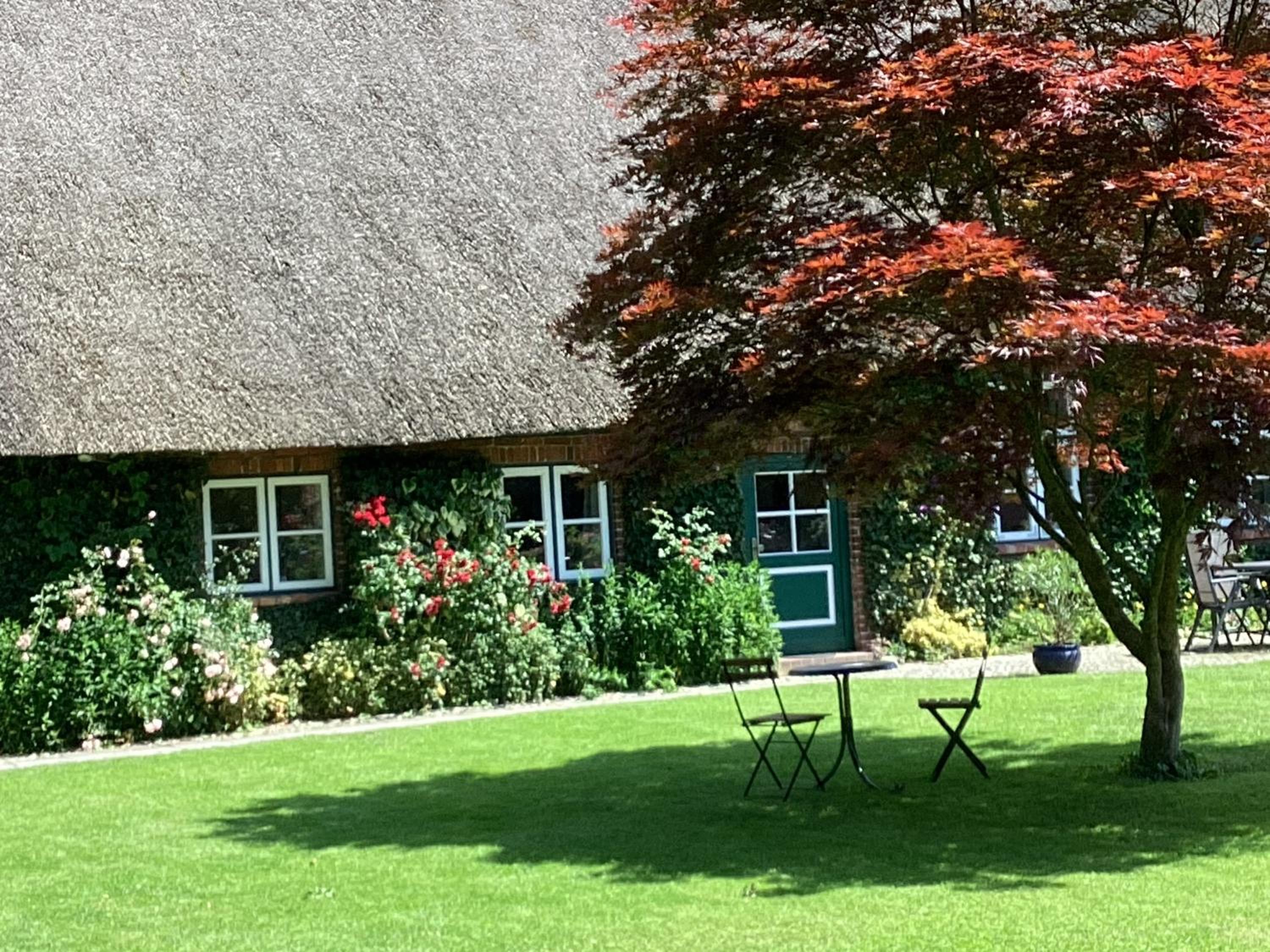 Gemütliche Wohnung im alten Bauernhaus