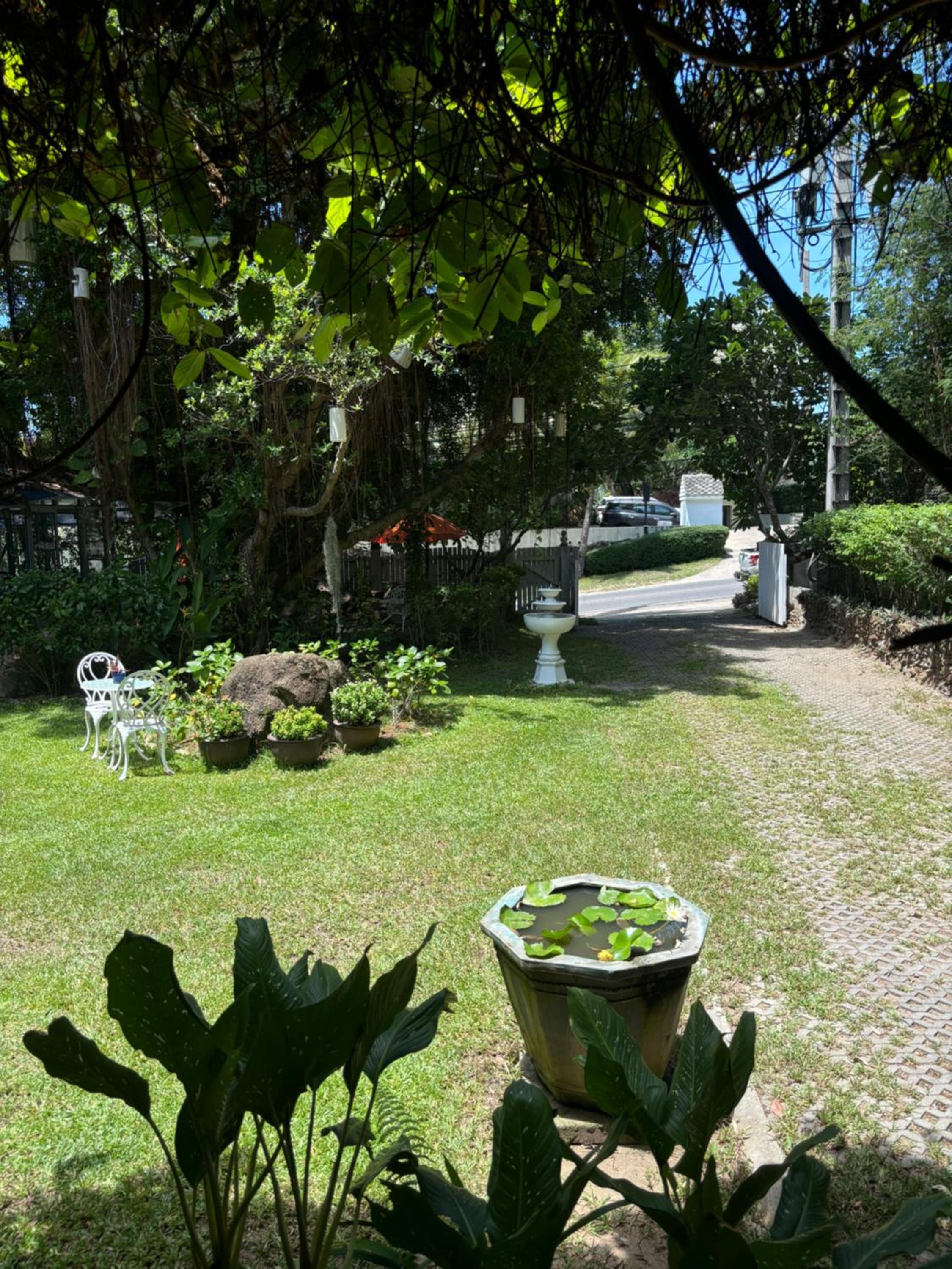 Photo 73