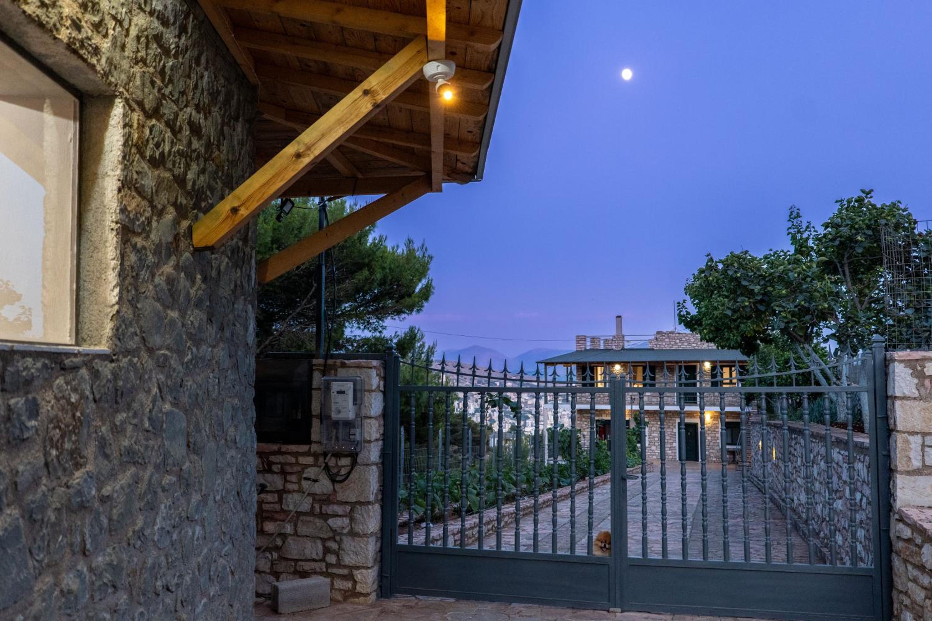 Green Villa