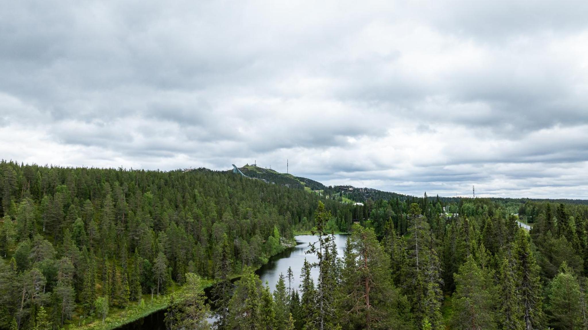 Salmenkelo, Ruka