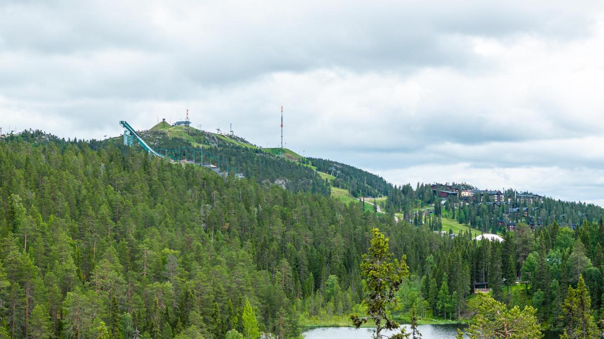 Salmenkelo, Ruka