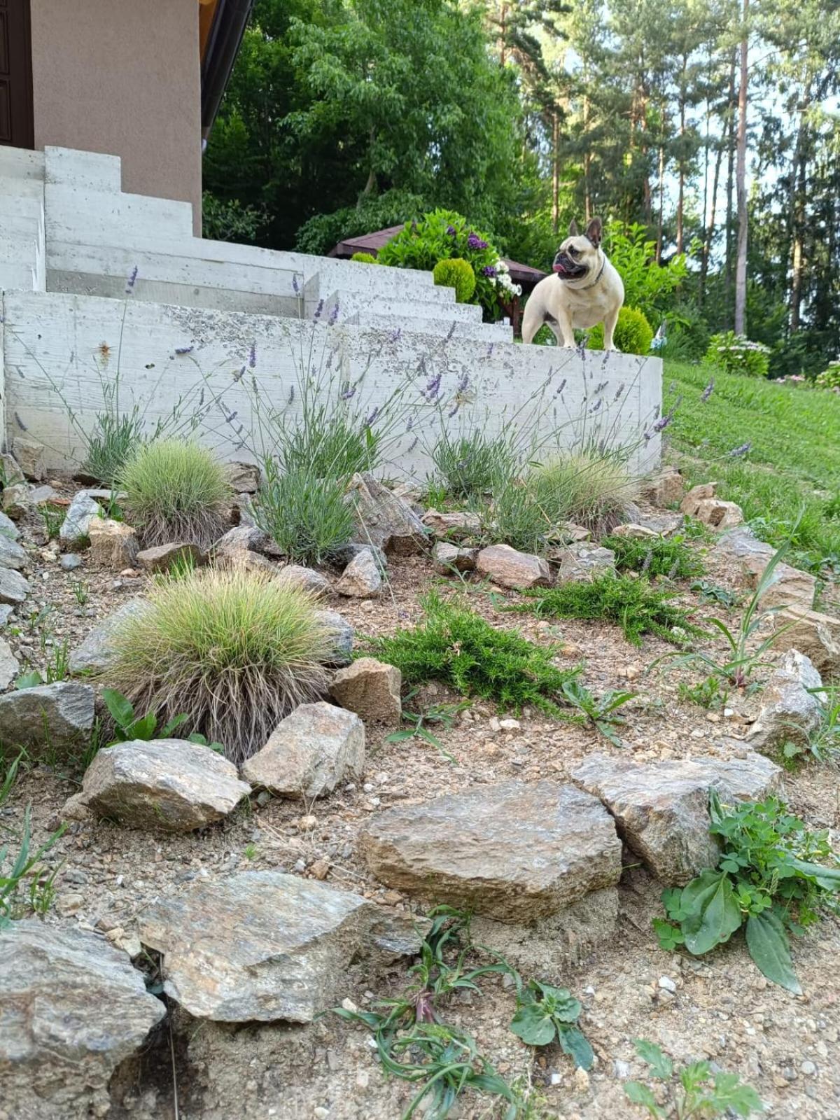 Photo 34