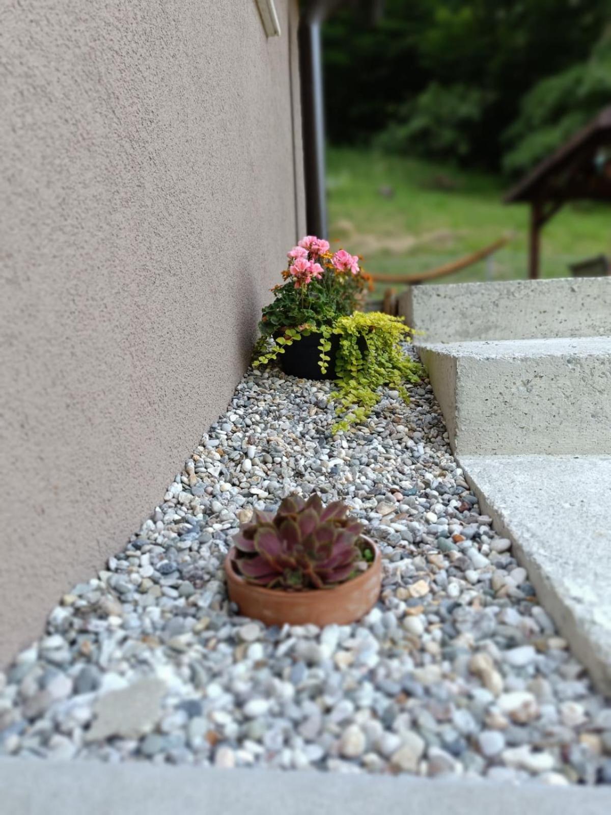 Photo 35