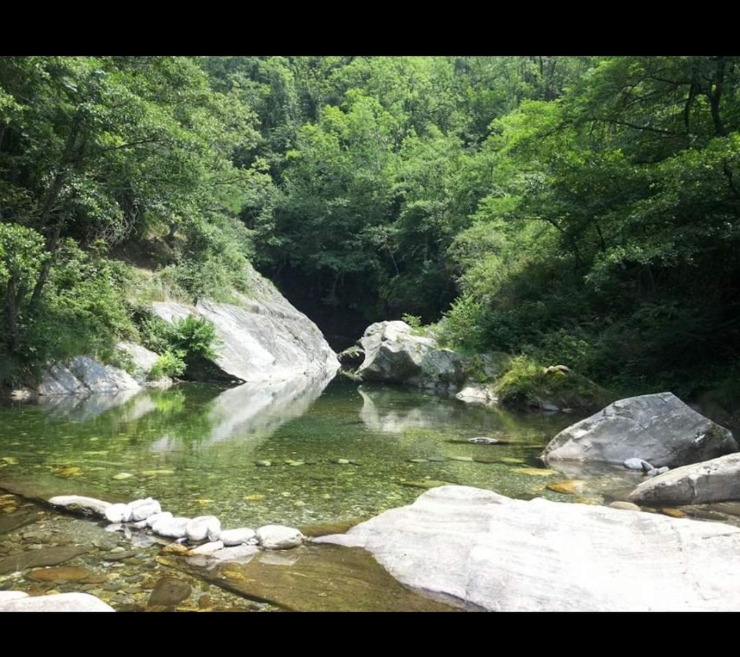 Photo 42