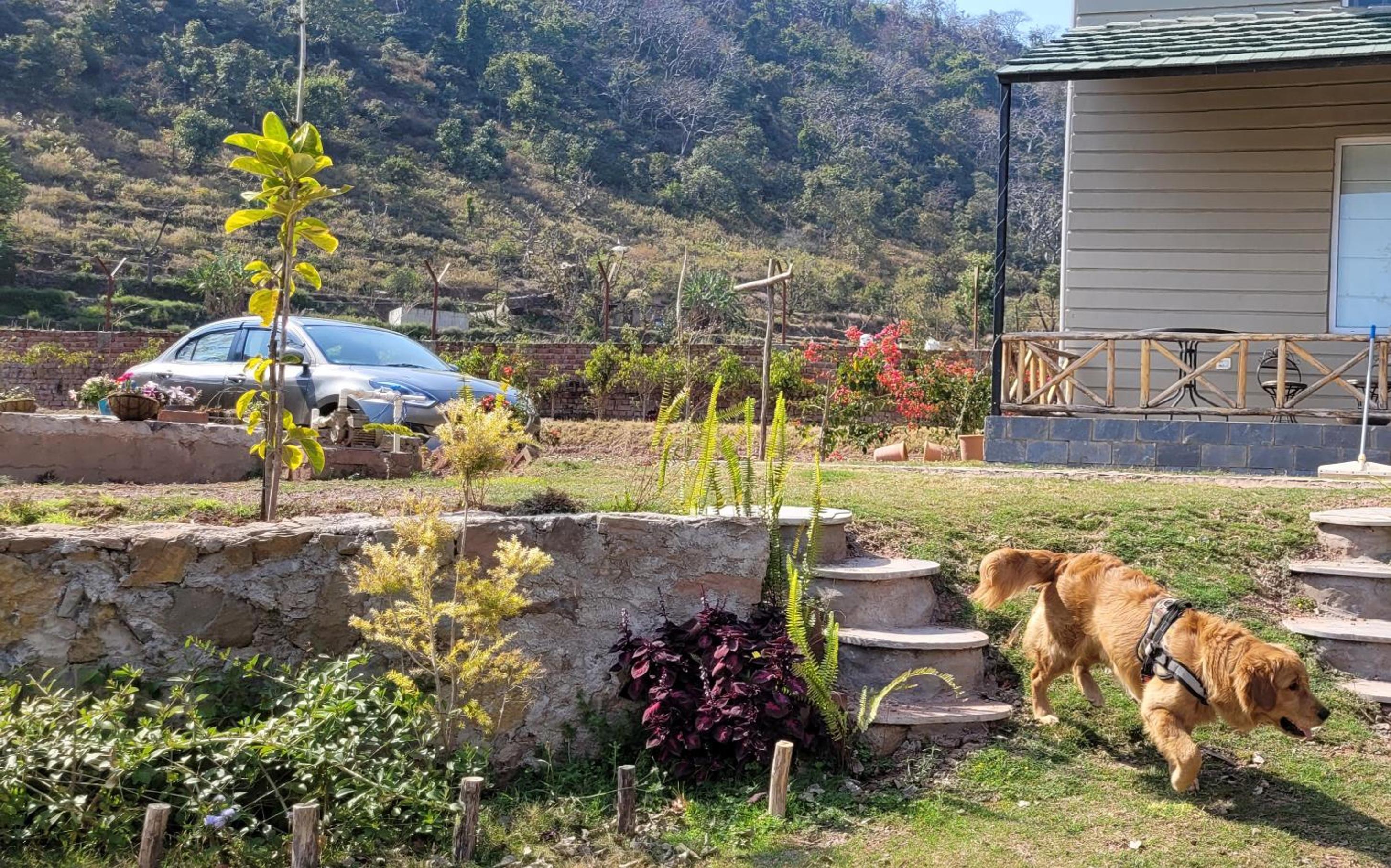 Aristaa Morni Hills: Pristine Stay in the Wild view 5
