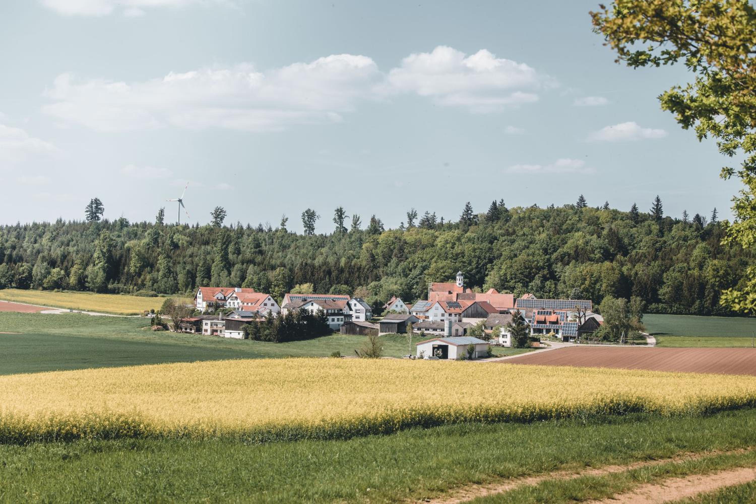 Landhotel Waldeck view 2