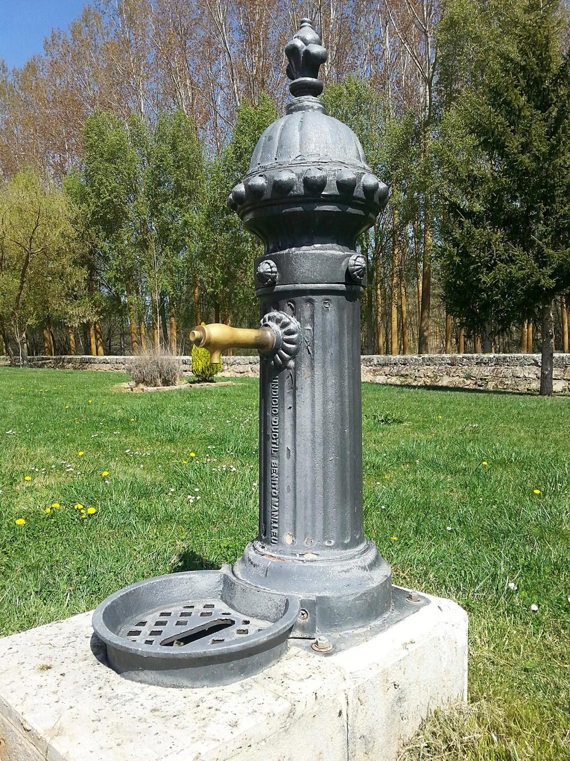 Photo 42