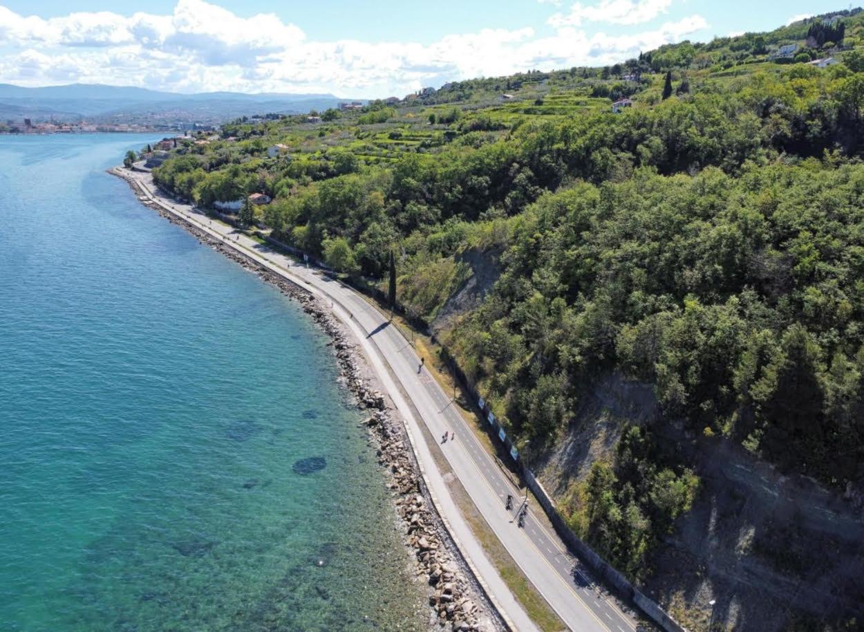 Apartma Panorama