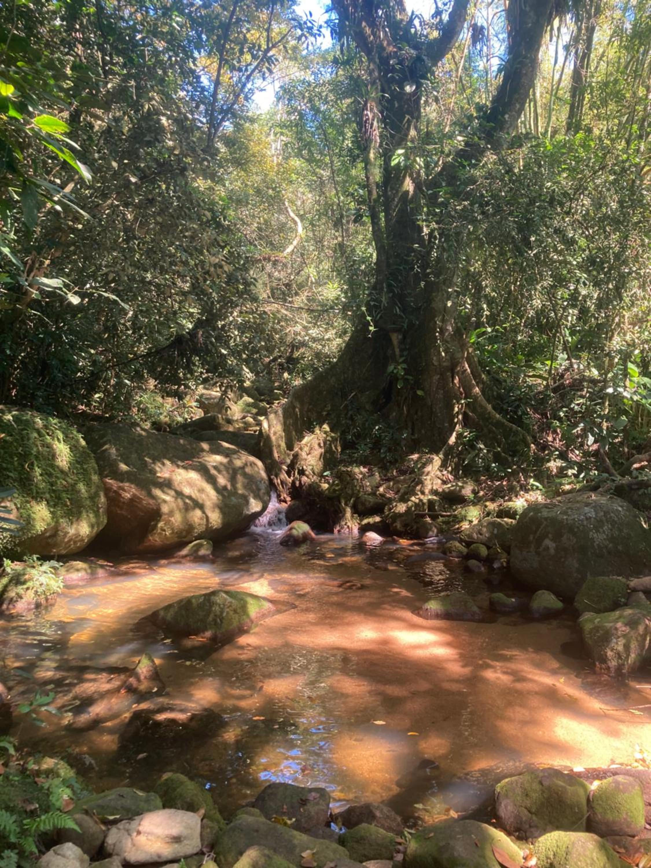 Casa Araribá - Ilha Grande - Vila do Abraão