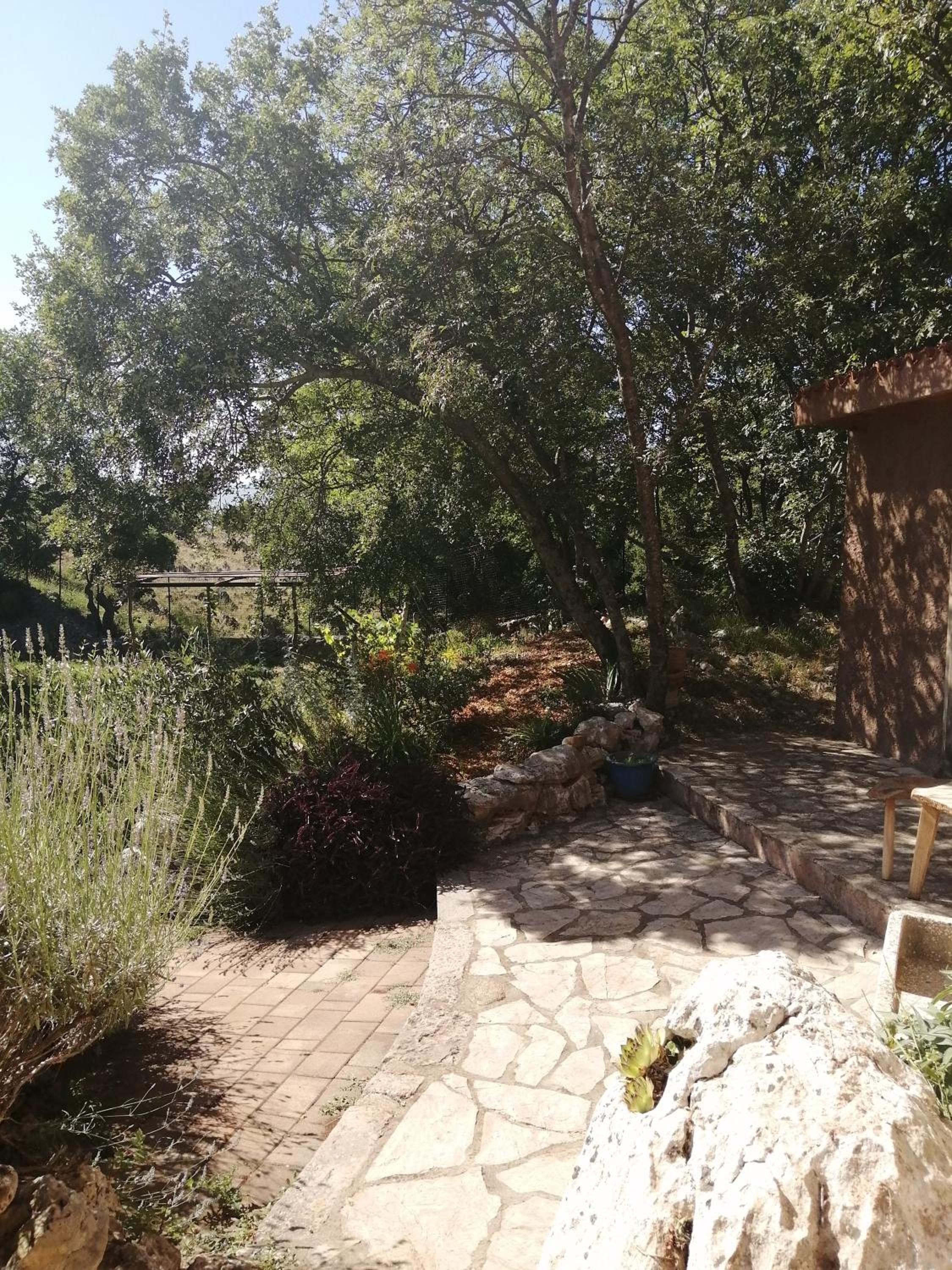 Atelier Filozici