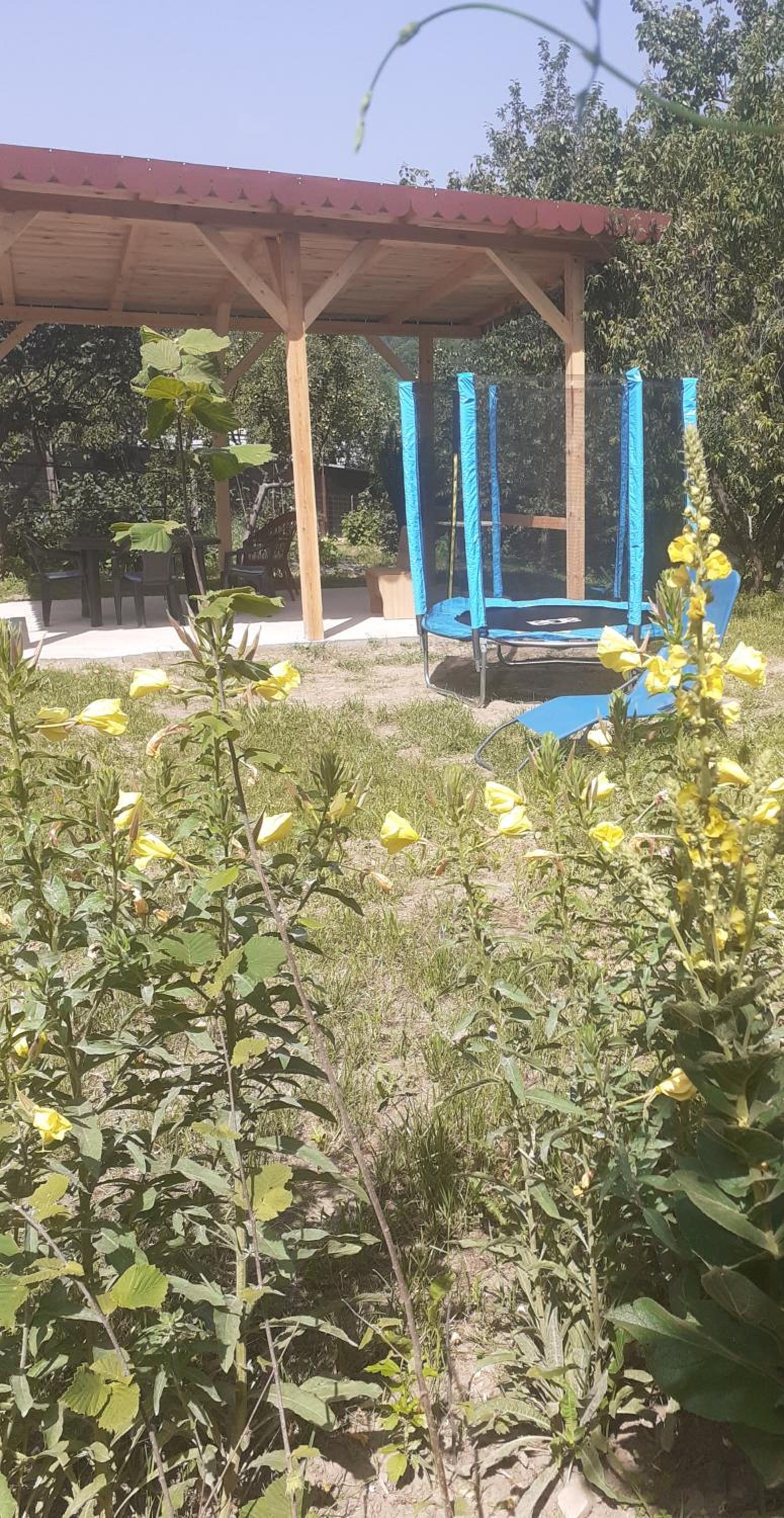Photo 15