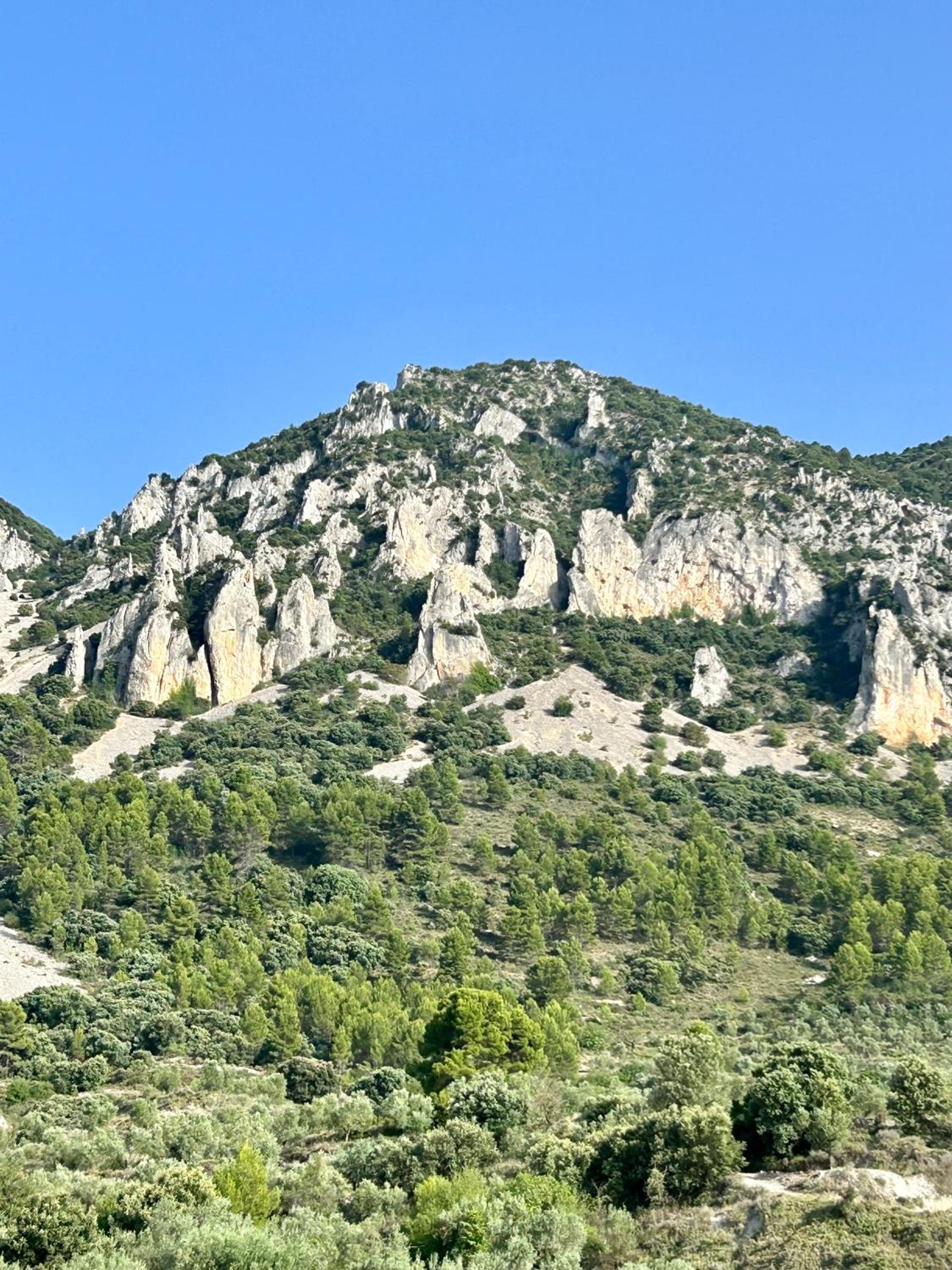 Casa Oroneta