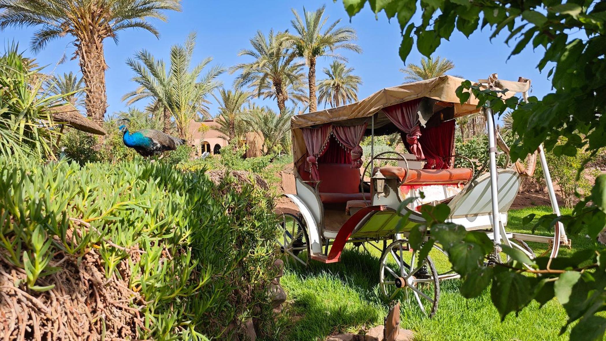 Lodge Hara Oasis