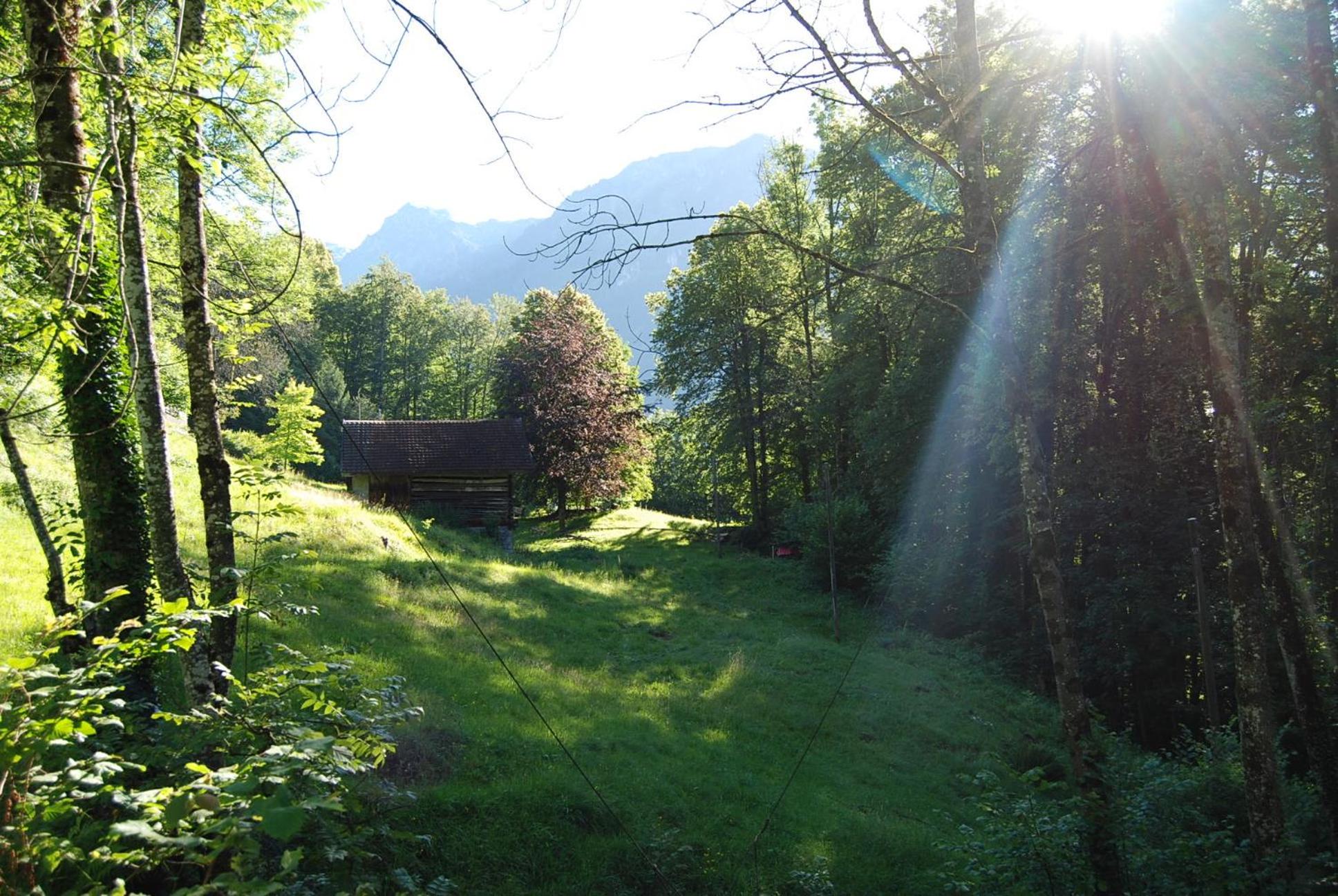 Bergbauernhaus an Wasserfall und Waldrand