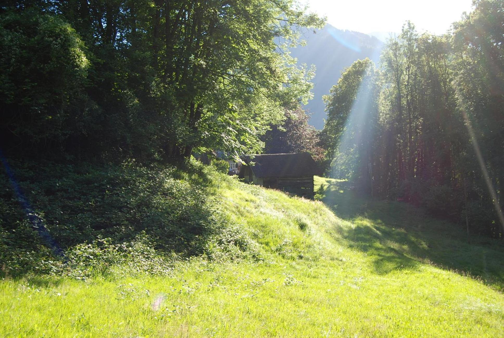 Bergbauernhaus an Wasserfall und Waldrand