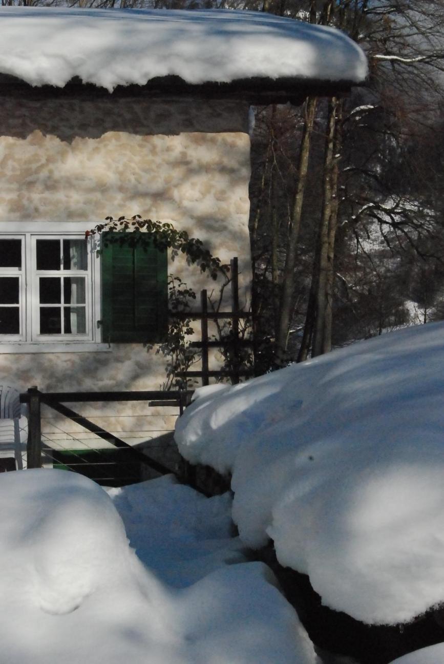 Bergbauernhaus an Wasserfall und Waldrand