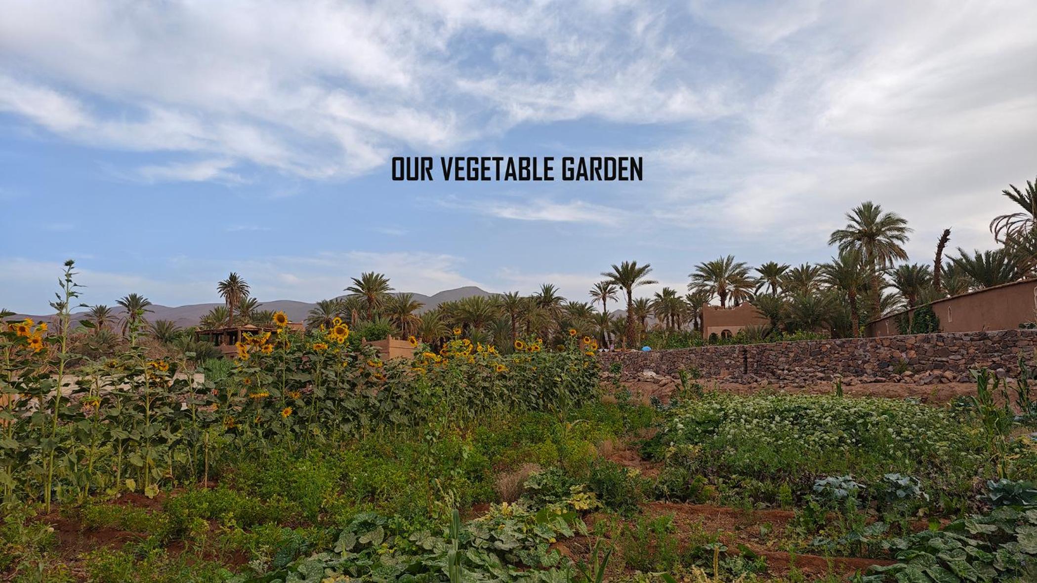 Lodge Hara Oasis