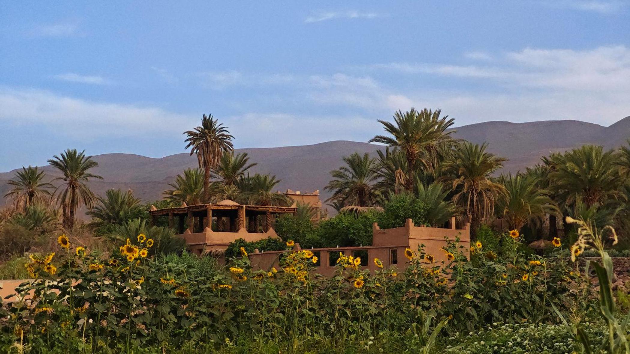 Lodge Hara Oasis