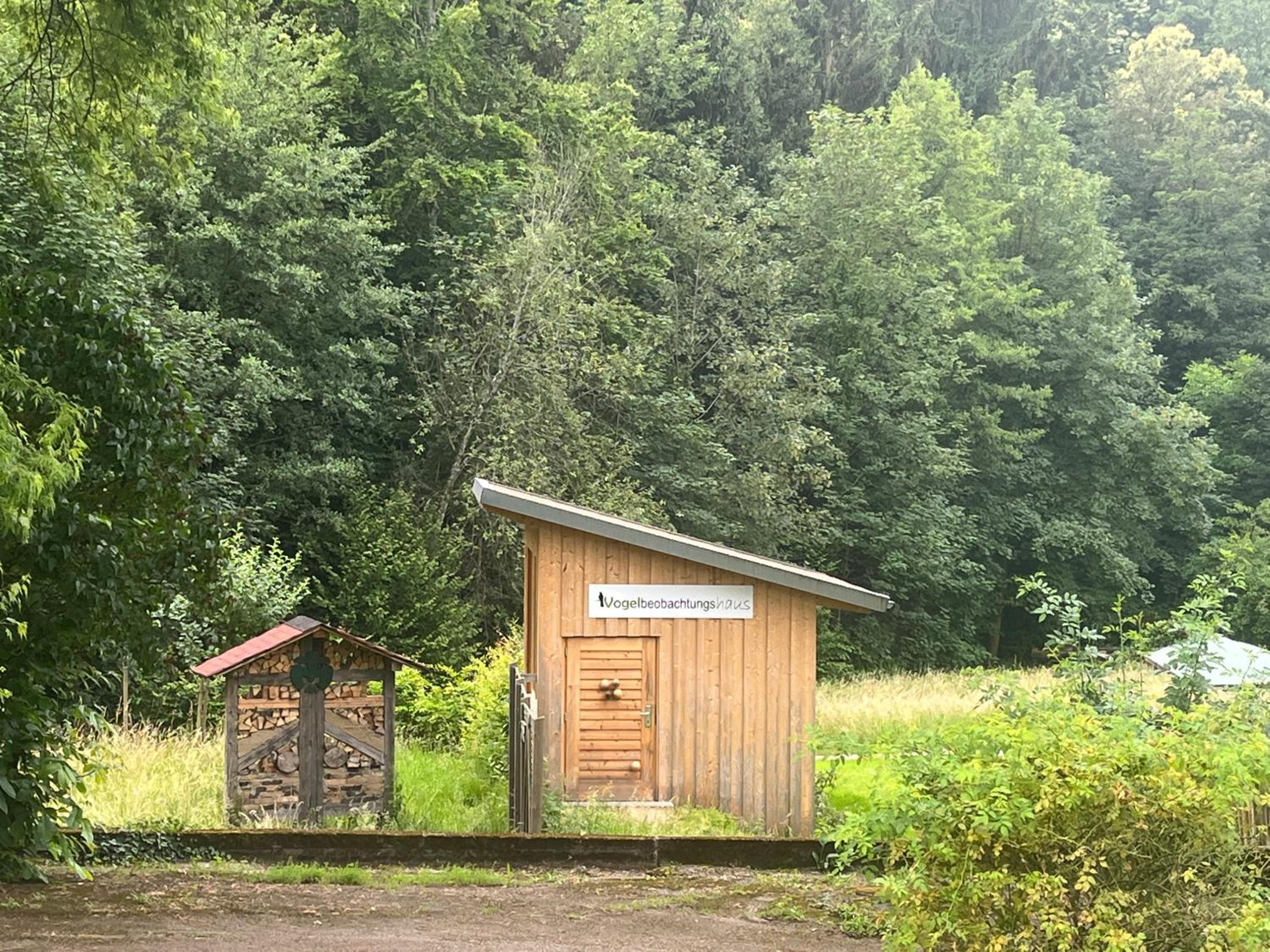 Kiara