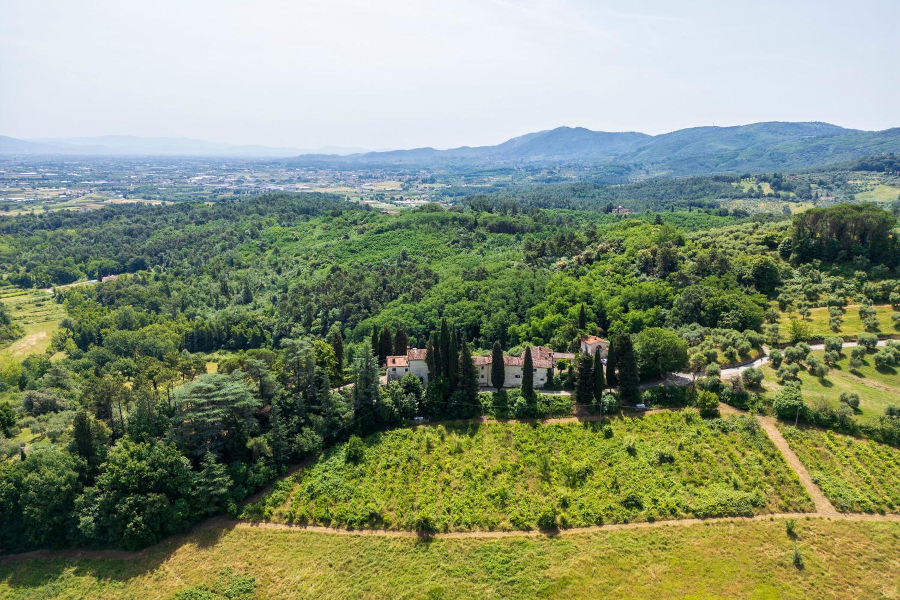 IL GAMBURLACCIO