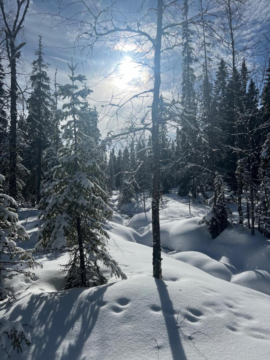 Lapland Log Chalet Cabin Ukko-Kelo Luosto