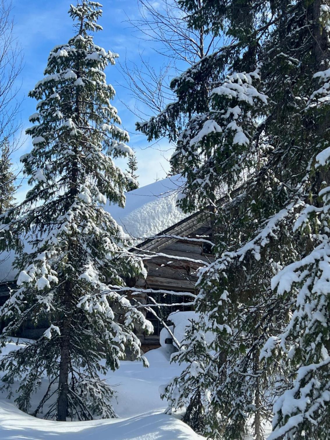 Lapland Log Chalet Cabin Ukko-Kelo Luosto