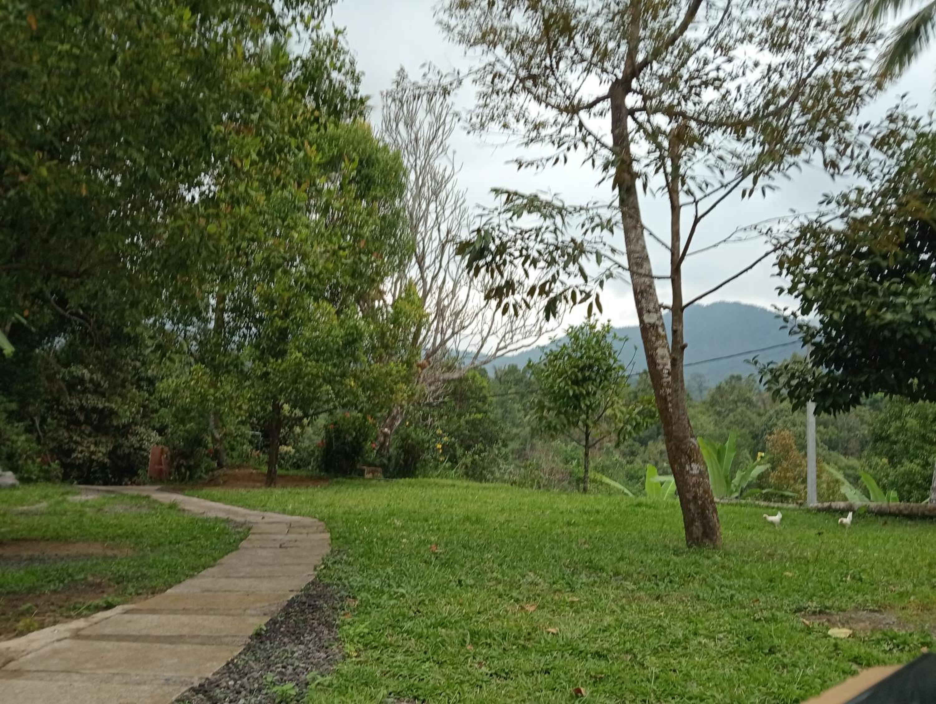 Jepun Homestay Lemukih view 3