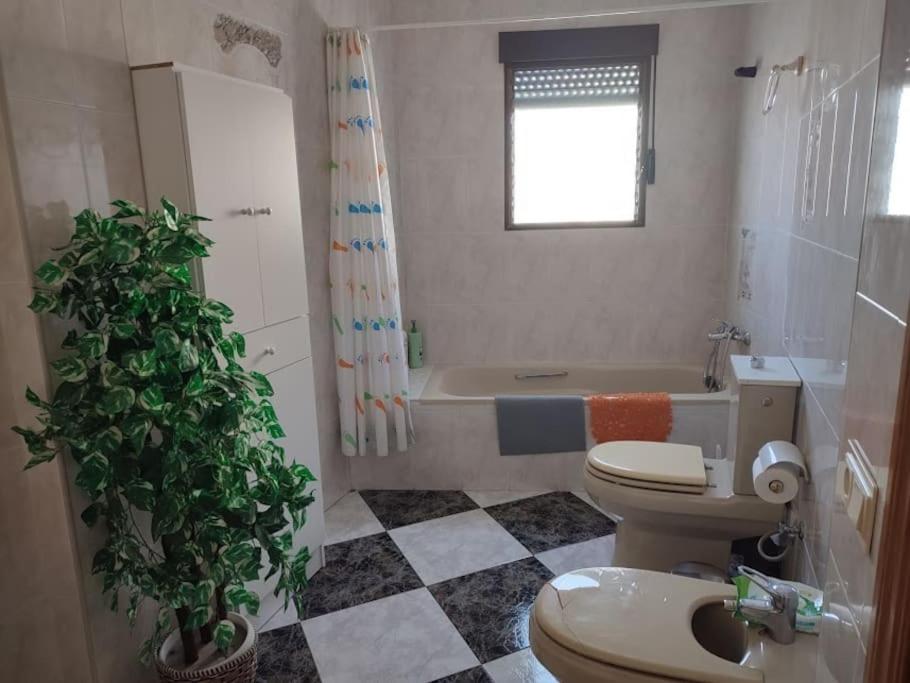 Casa Conchita
