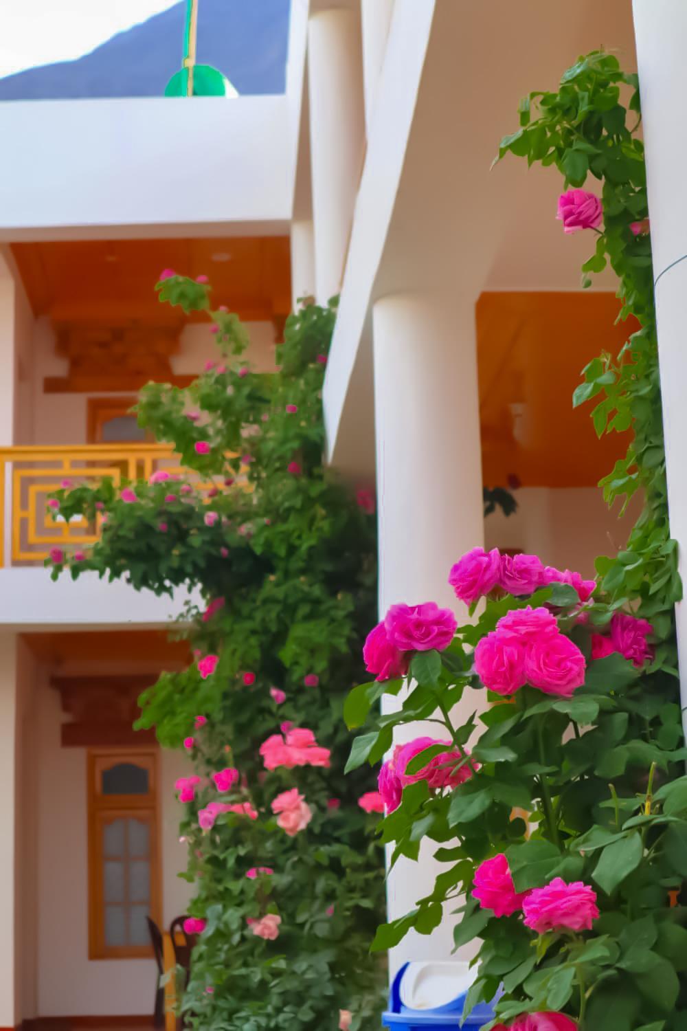 Hotel Thachung
