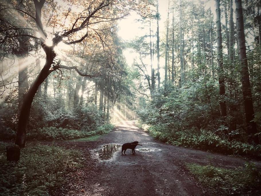 Auszeit auf dem Land im Forsthaus Hohe Heide