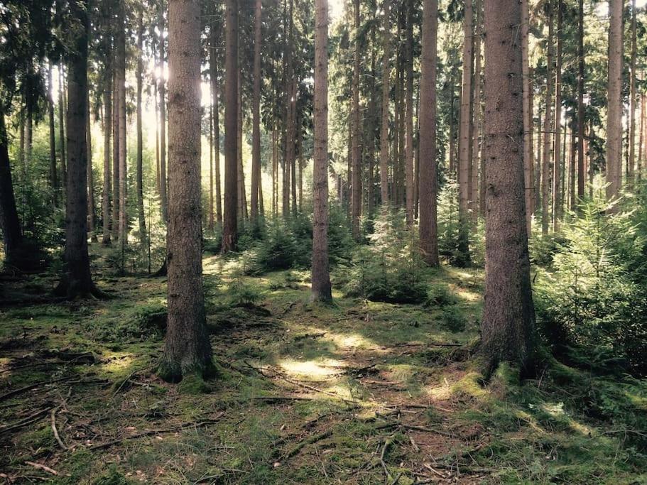 Auszeit auf dem Land im Forsthaus Hohe Heide