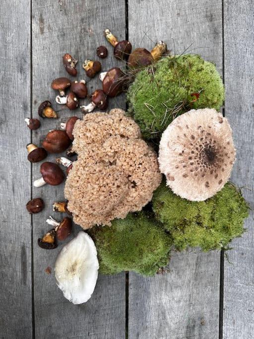 Auszeit auf dem Land im Forsthaus Hohe Heide