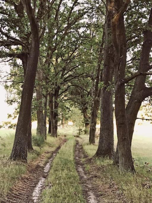 Auszeit auf dem Land im Forsthaus Hohe Heide