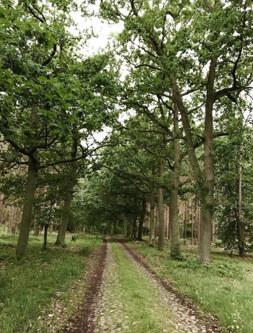 Auszeit auf dem Land im Forsthaus Hohe Heide