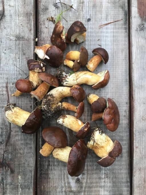 Auszeit auf dem Land im Forsthaus Hohe Heide