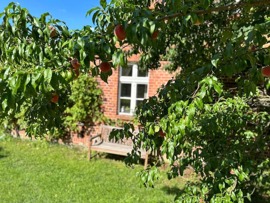 Auszeit auf dem Land im Forsthaus Hohe Heide