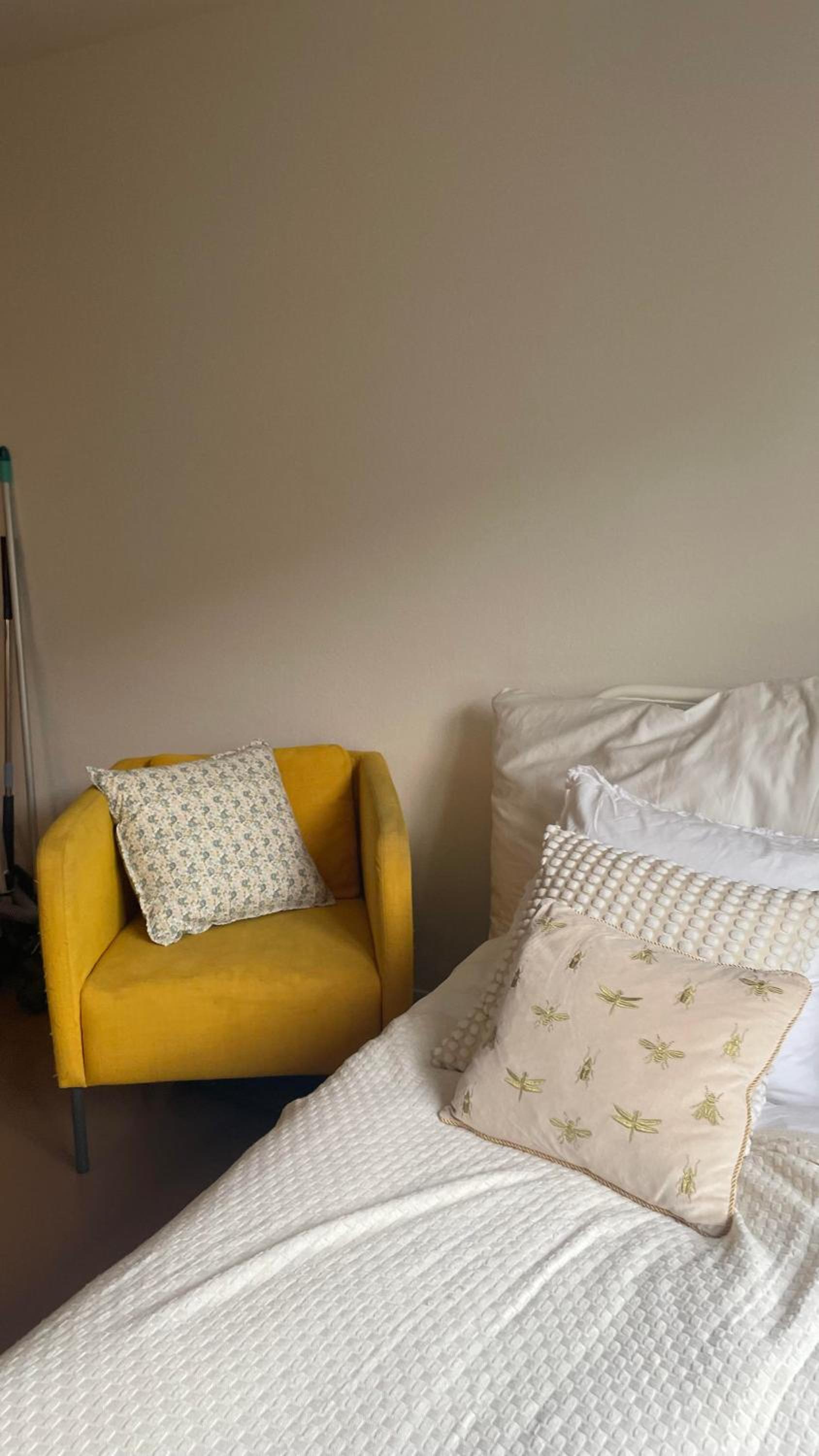 Taylor Swift Apartment - 20 mins from concert