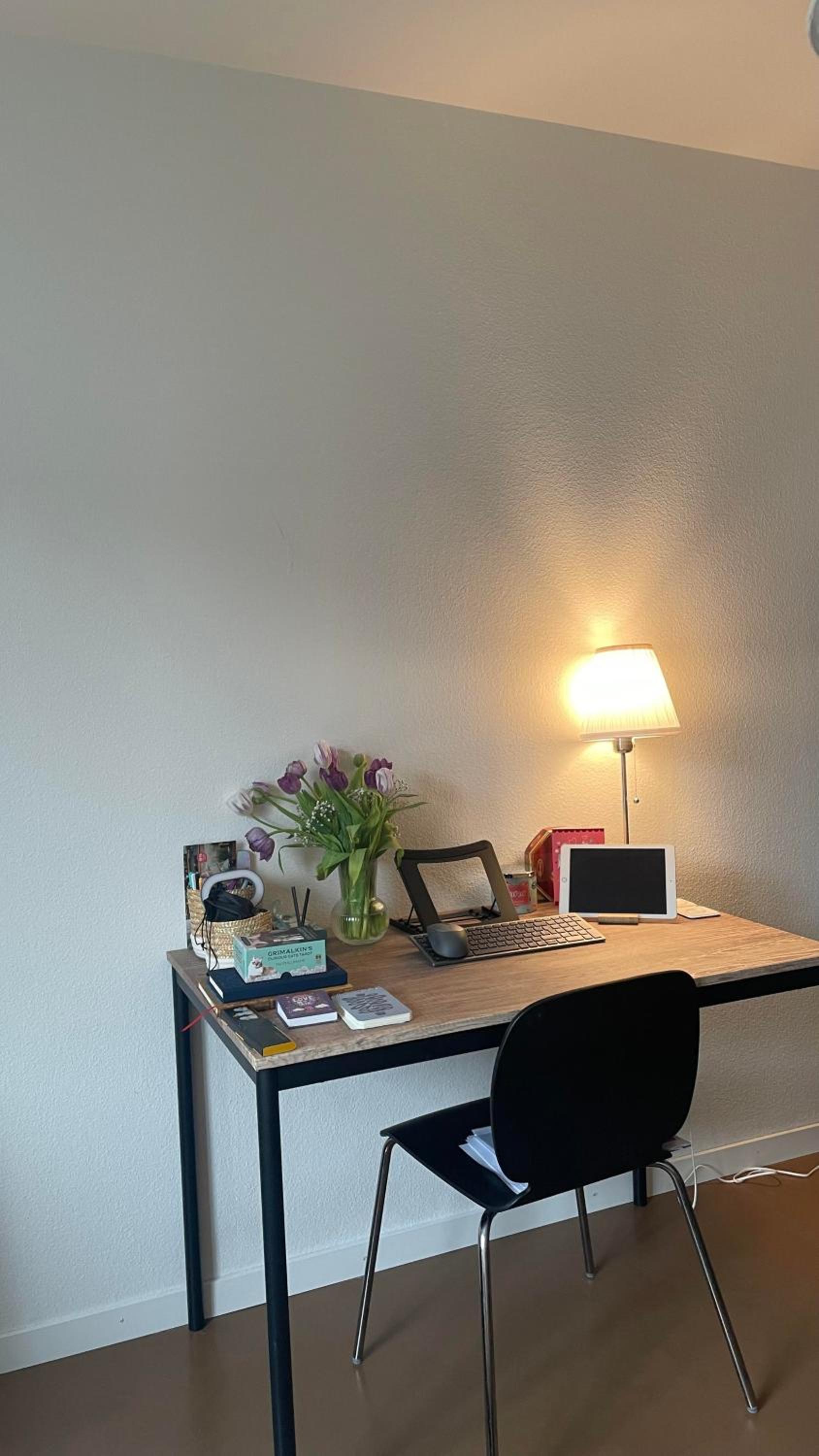 Taylor Swift Apartment - 20 mins from concert