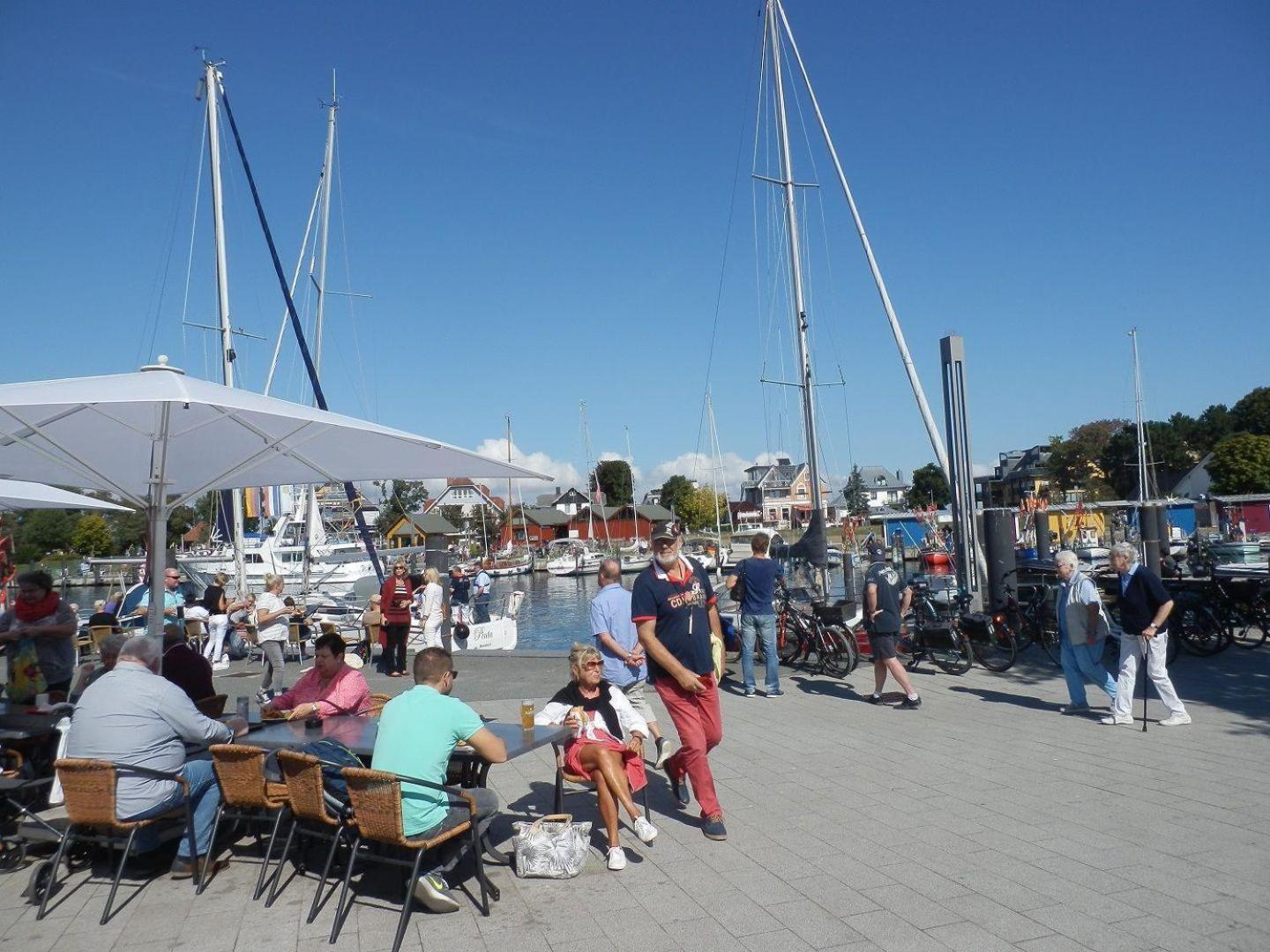Photo 39