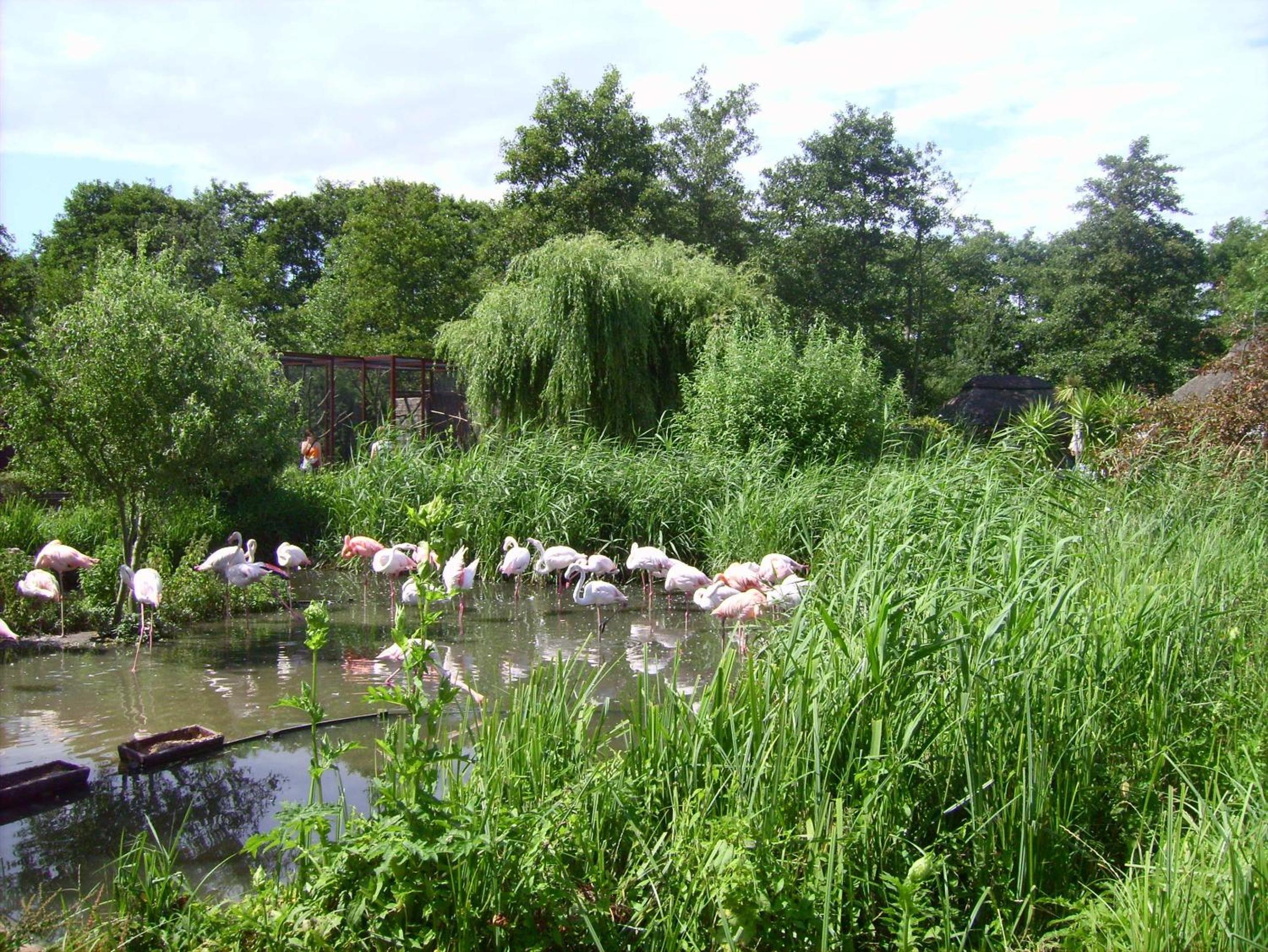 Photo 43