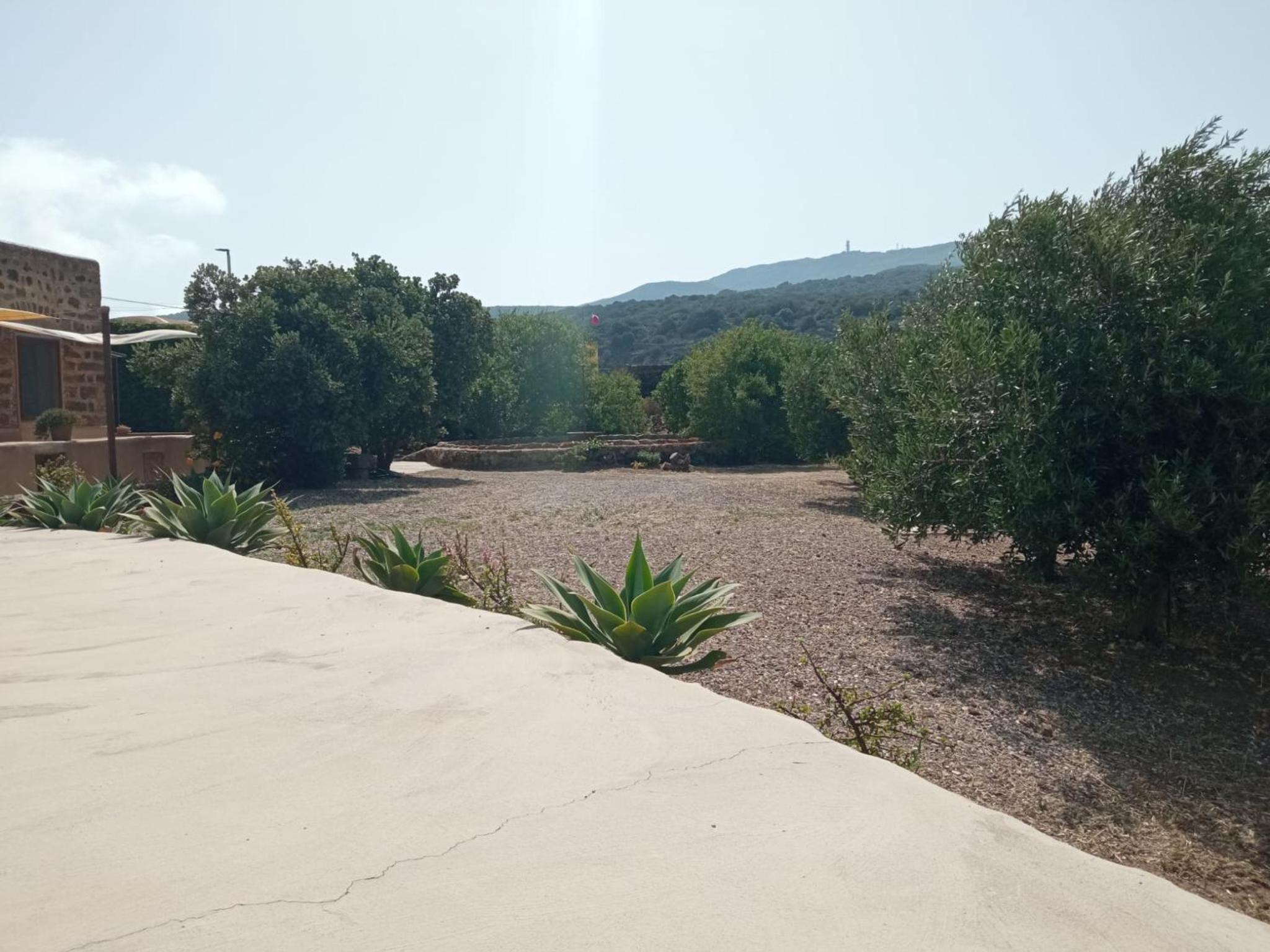 Dammuso le Vigne view 2