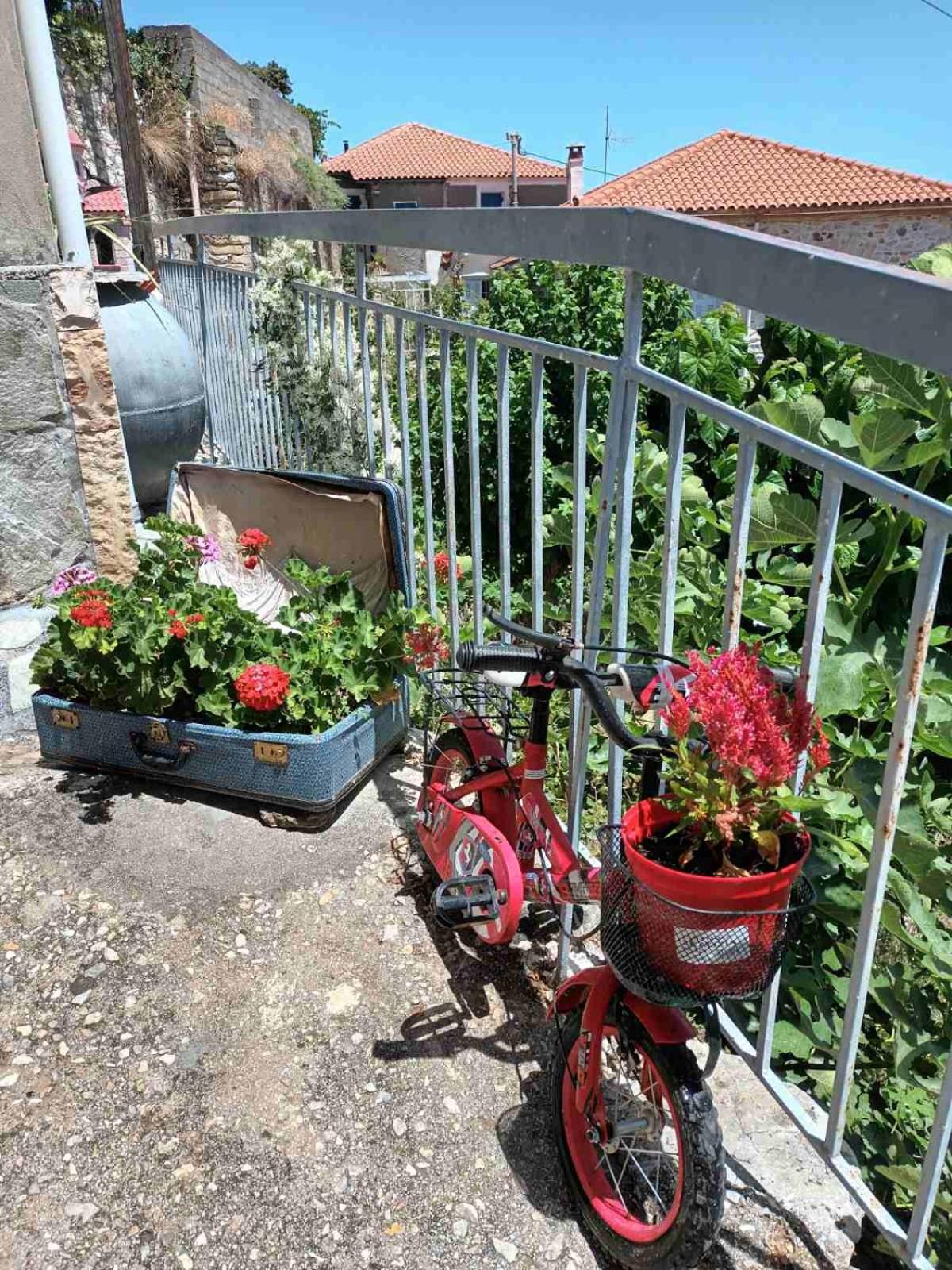 Photo 19