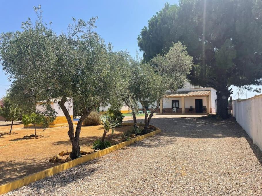 LuxuryVilla Susan