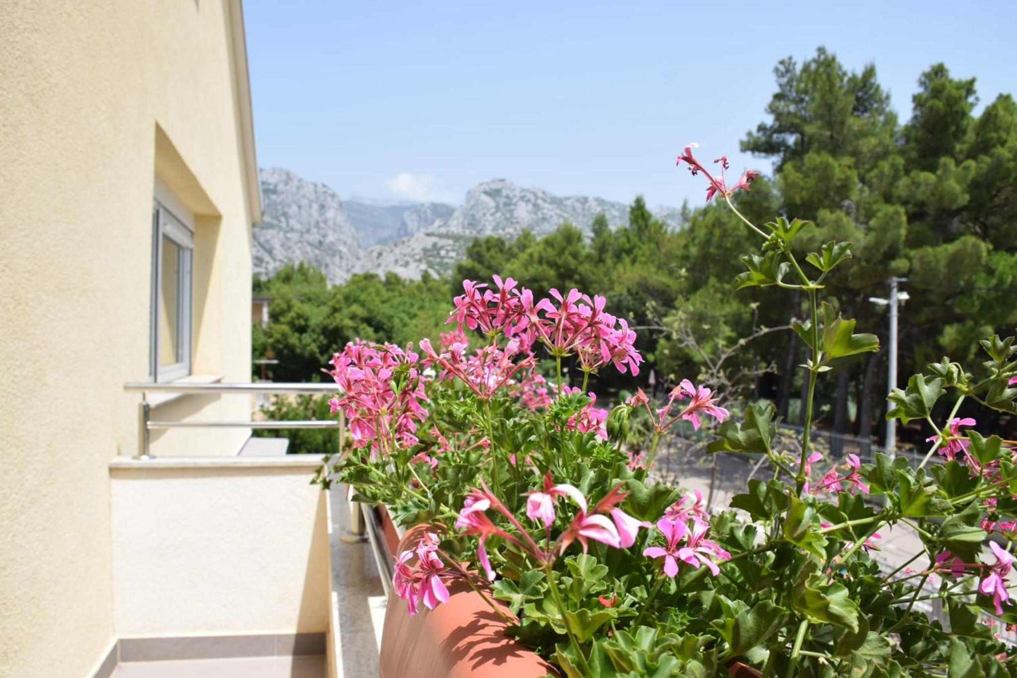 Apartman Gropa