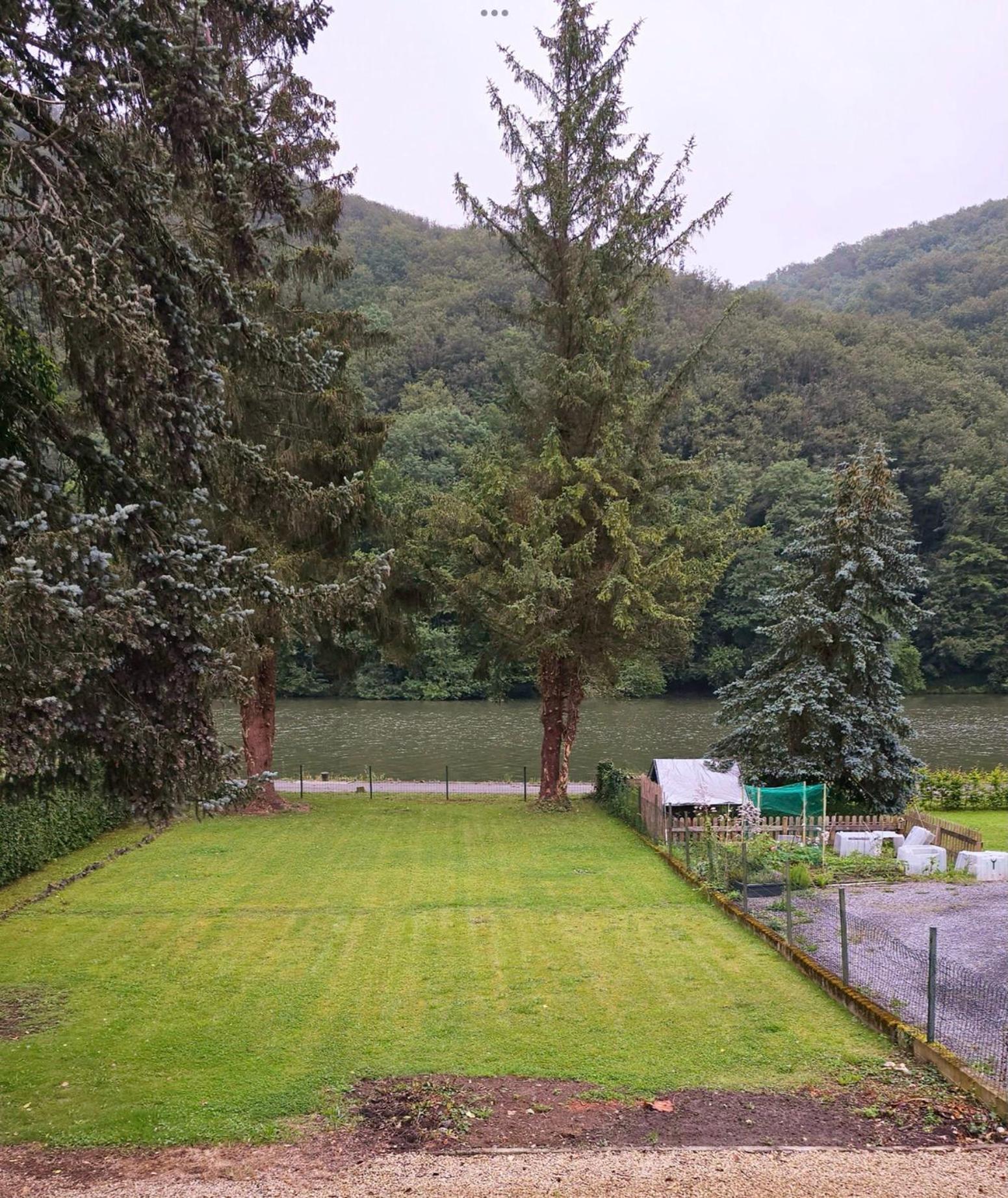 Le sapin bleu, photo 9