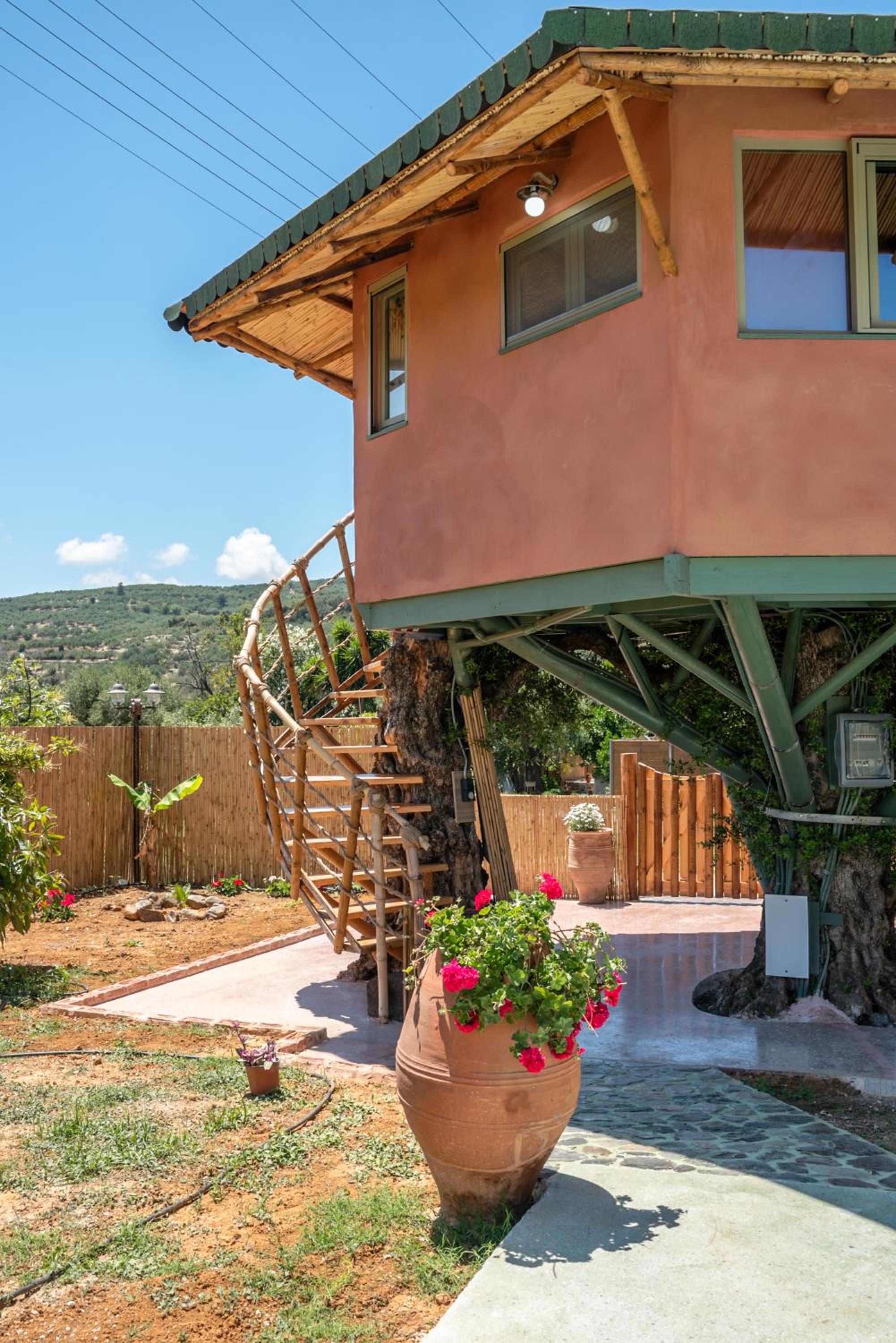 Eco Olive Treehouse view 5