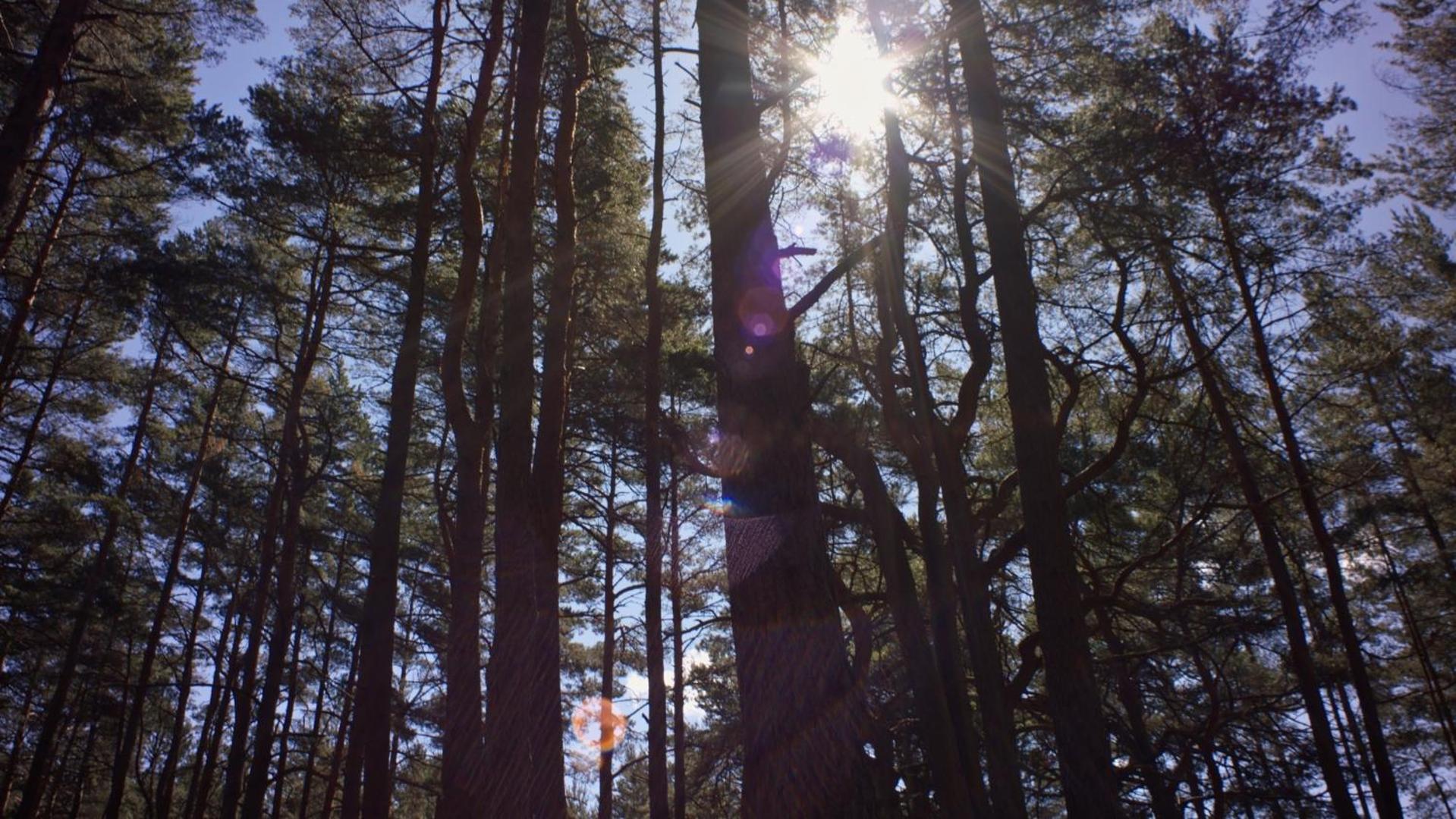 HILL Nasu view 3