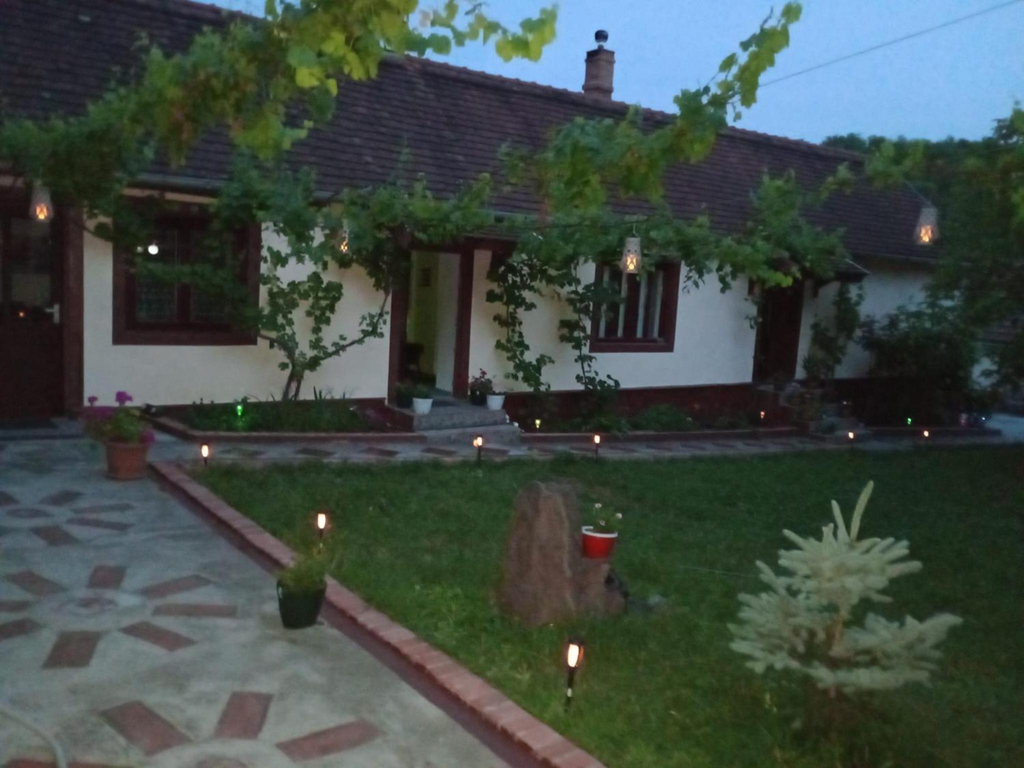 Photo 8