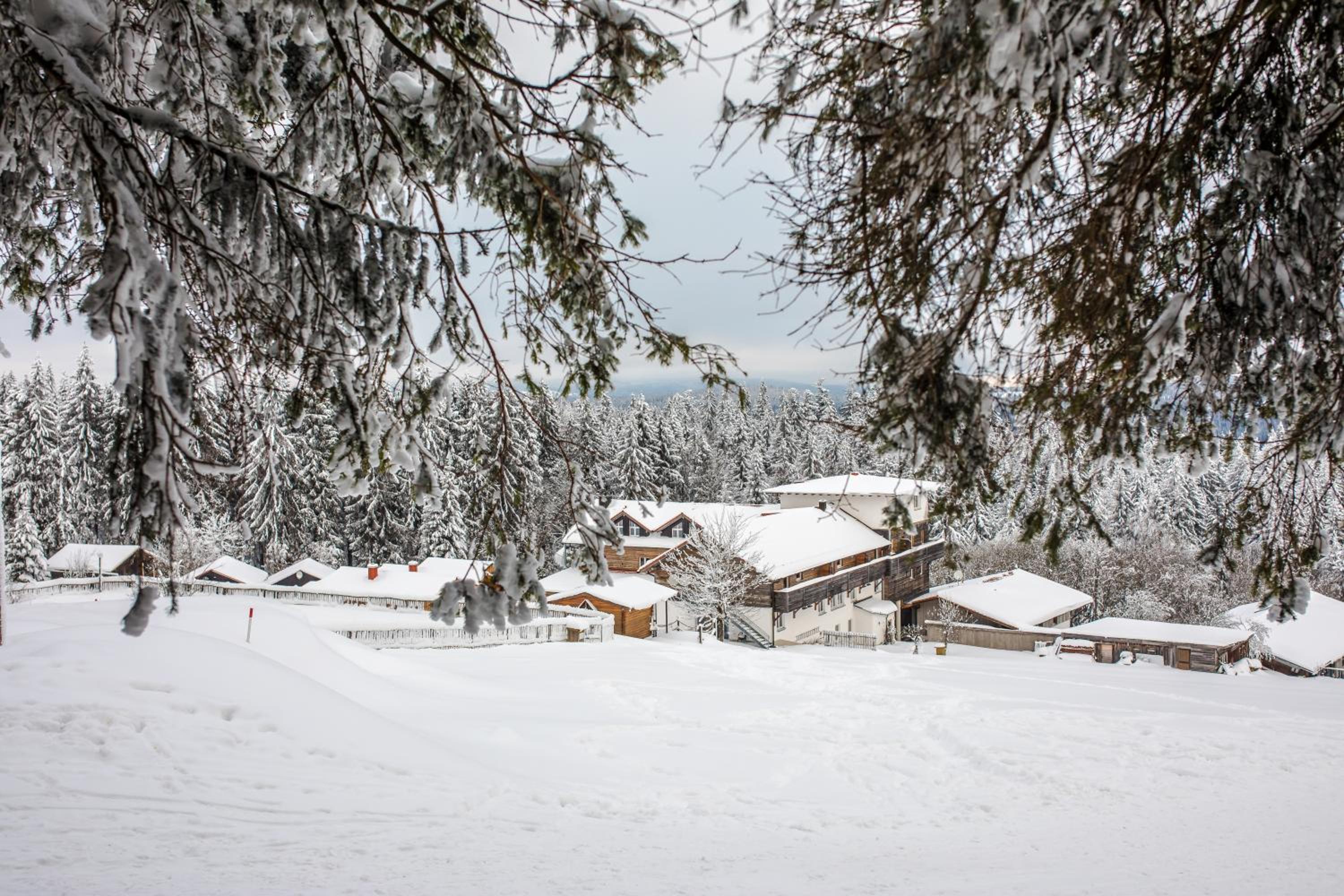 Hotel Hunderesort Waldeck - Urlaub mit Hund - Superior - Image 1