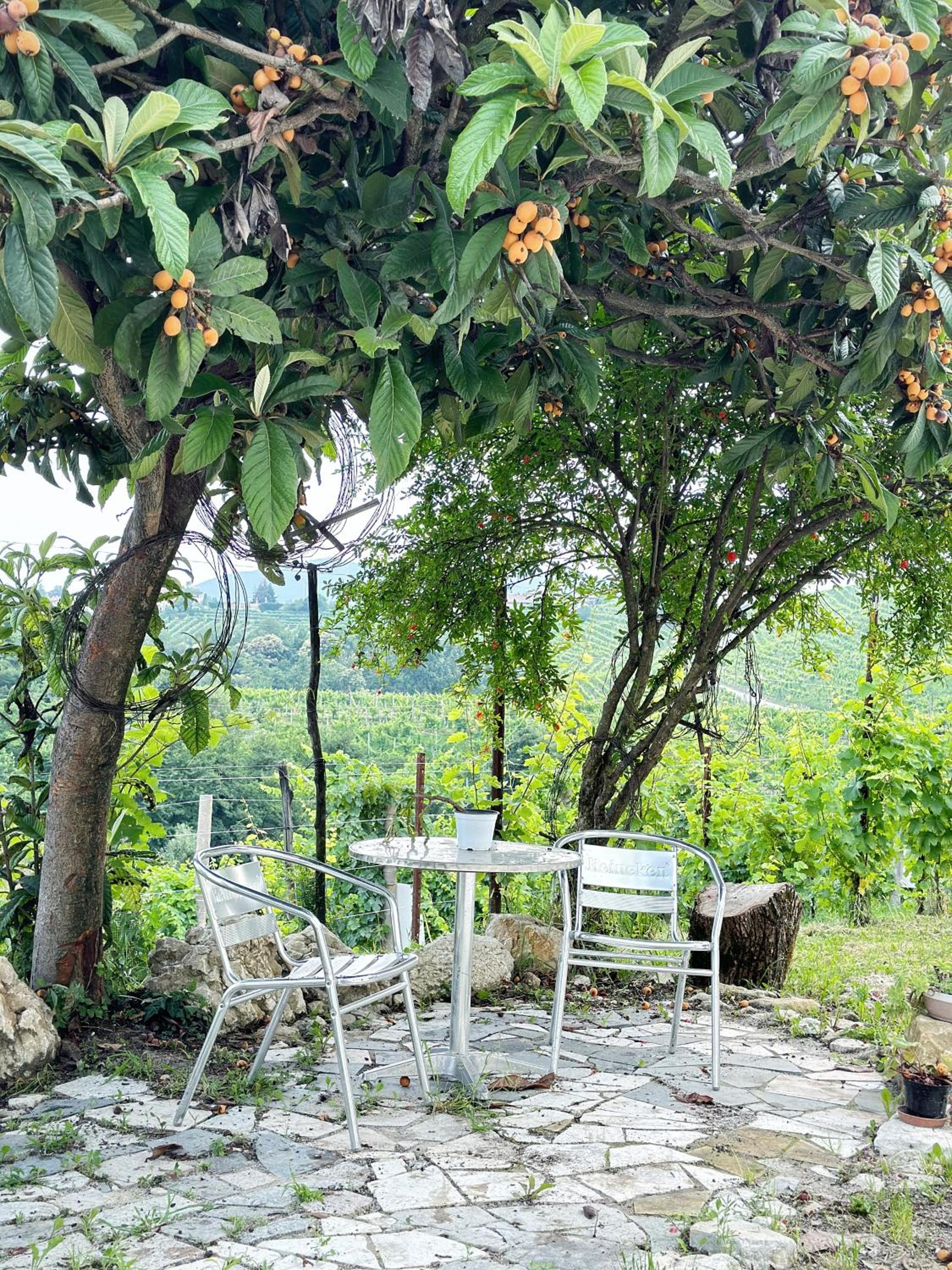 Valdobbiadene - free parking - Colline Prosecco